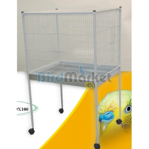 Κλούβα  Κέλλυ